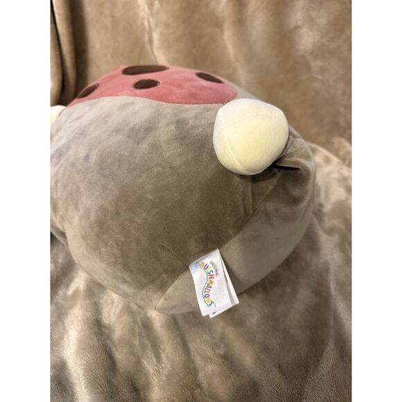 Squishmallows Ainhoca Armored Gray Ankylosaurus Dinosaur 12" Plush Toy - Picture 11 of 12